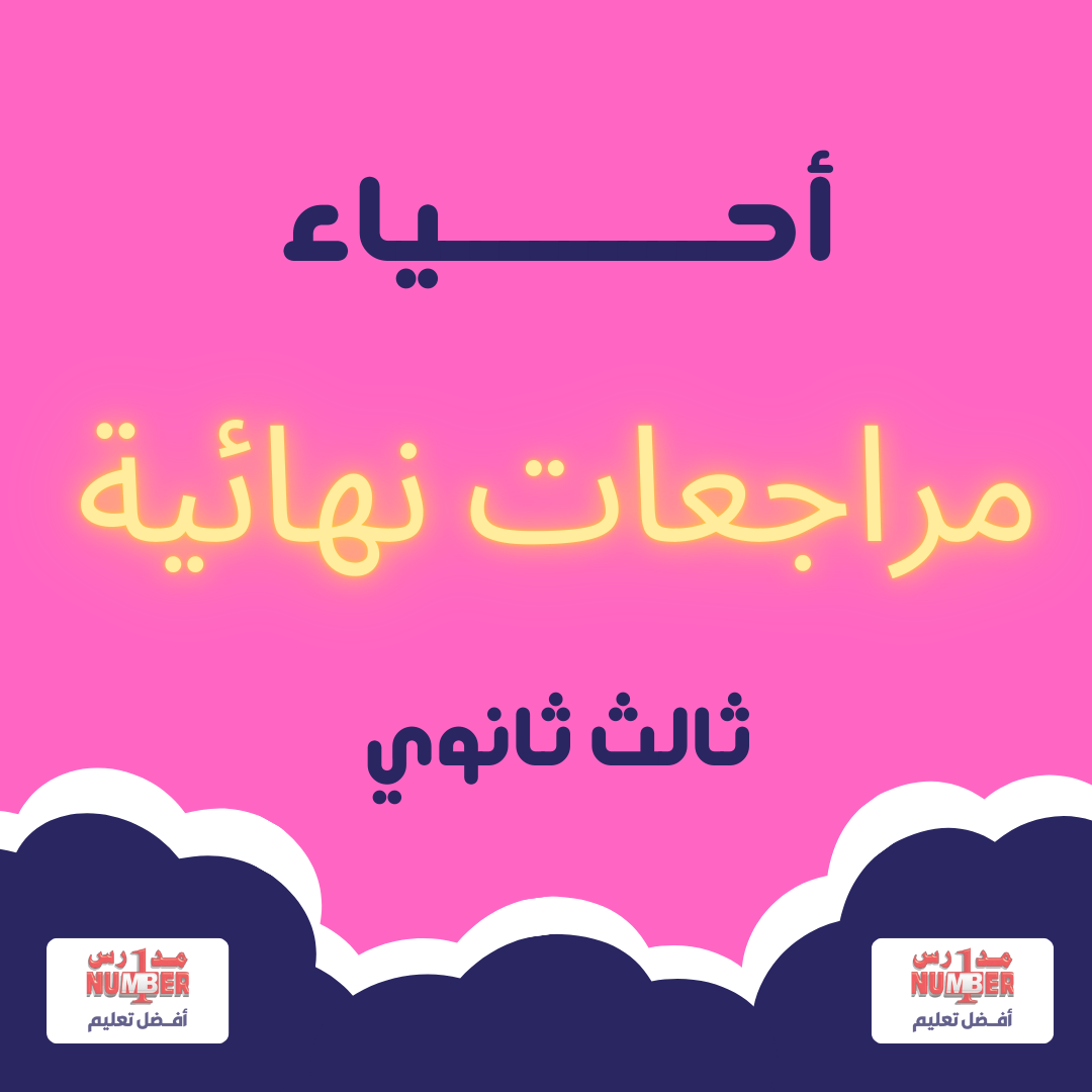 06 | مراجعة شاملة